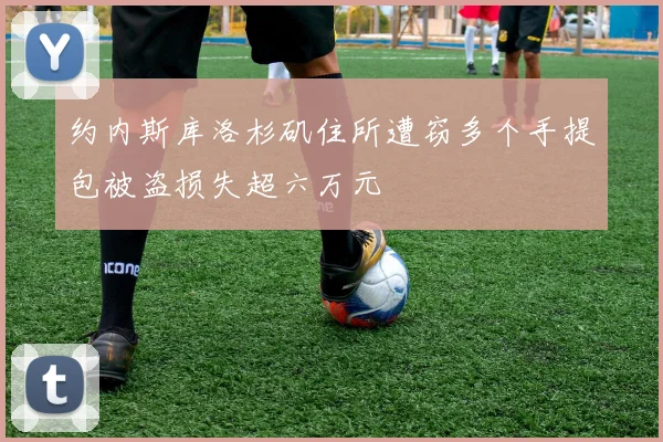 约内斯库洛杉矶住所遭窃多个手提包被盗损失超六万元