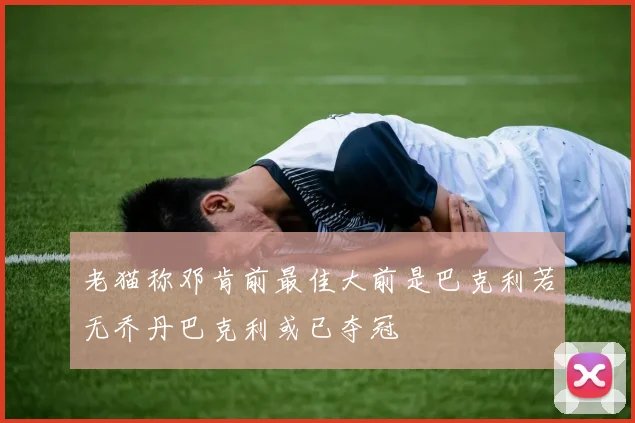 老猫称邓肯前最佳大前是巴克利若无乔丹巴克利或已夺冠