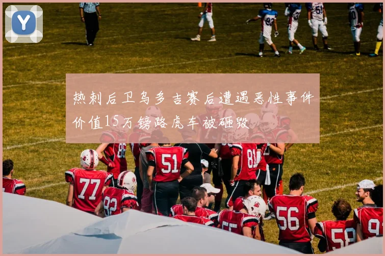 热刺后卫乌多吉赛后遭遇恶性事件价值15万镑路虎车被砸毁
